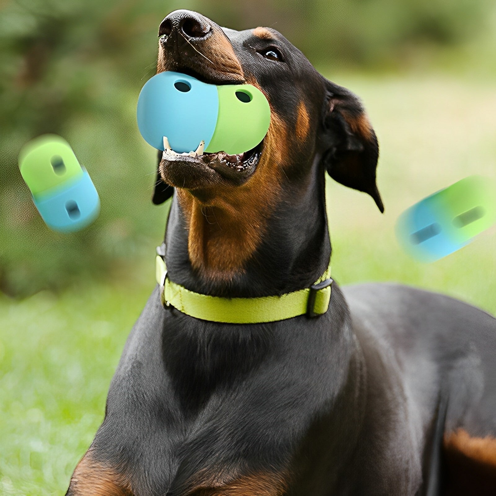 Pet Food Toy Pet Food Toy